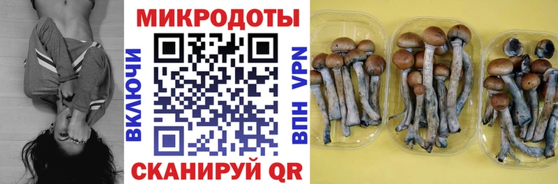 где продают наркотики  Новая Усмань  Псилоцибиновые грибы ЛСД 